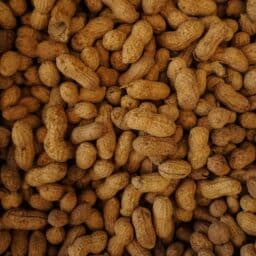 A collection of raw peanuts.