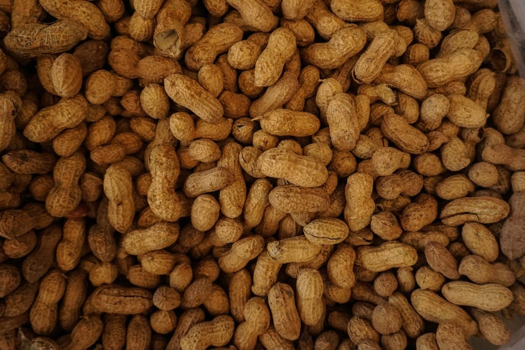 A collection of raw peanuts.