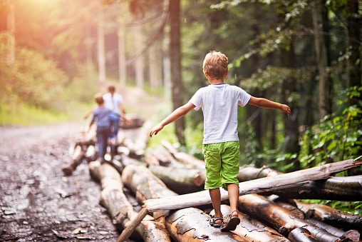A child is walking on a pile of downed logs on the edge of a fire road. His arms are spread out for balance. His parents are 50 feet ahead of him. 