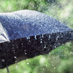 Rain hitting an umbrella